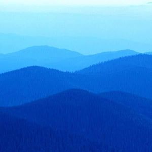 Meet your Posher, Steve